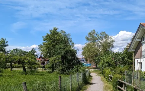Spielplatz Brachmoos