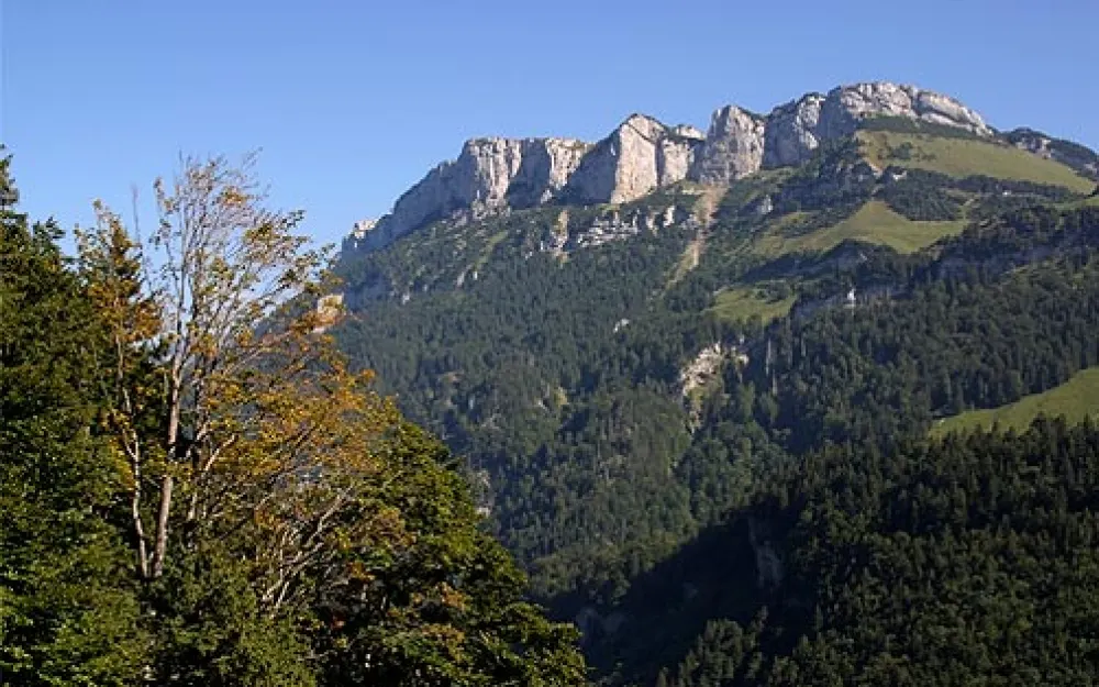 Alp Sigel