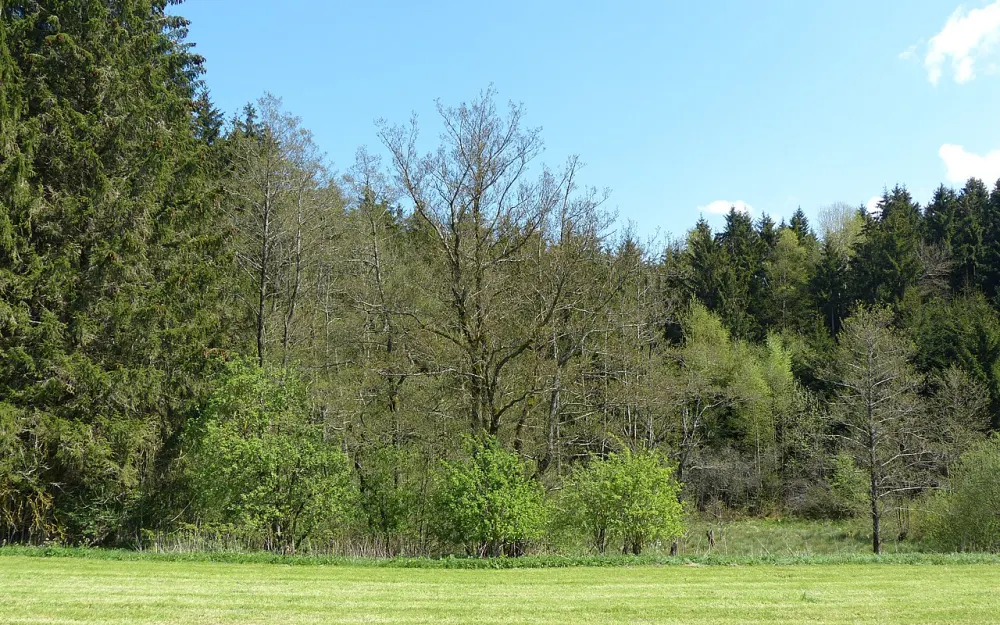 Toteisloch bei Herbisried