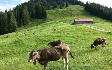 Alpe Fahnengehren