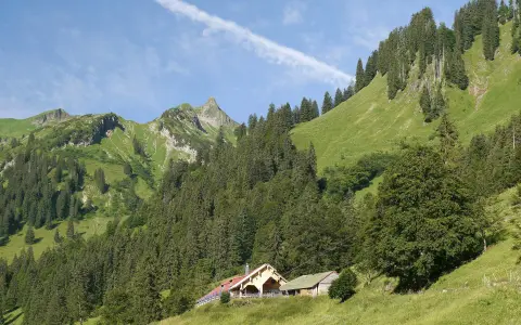 Alpe Laufbichl (1.250 m)