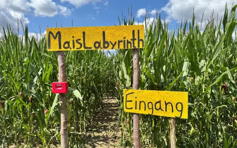 Mais-Labyrinth