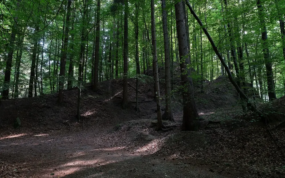 Heiligenberg