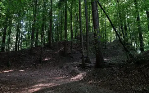 Heiligenberg