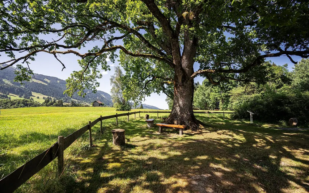Ort der Besinnung in Obermaiselstein