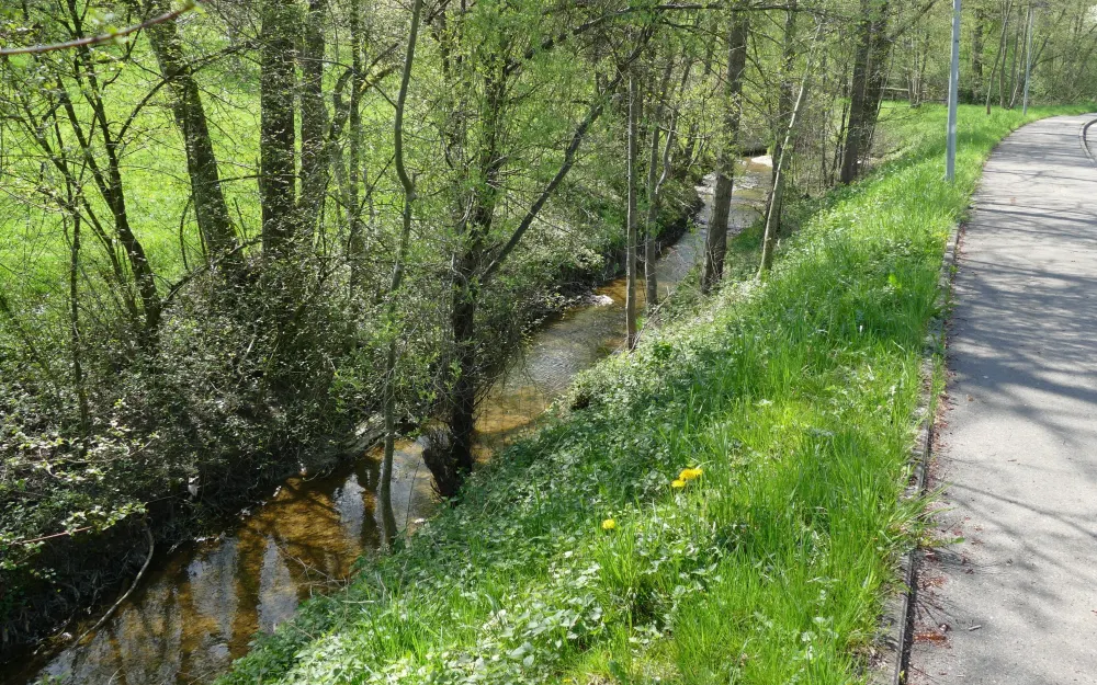 Höllbach