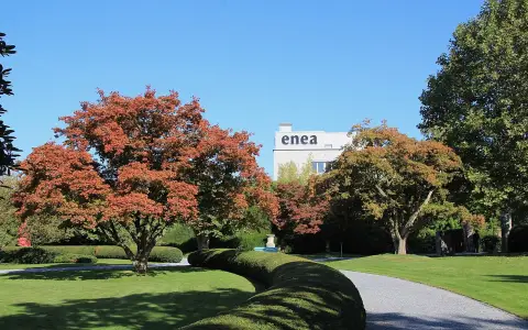 Enea Baummuseum