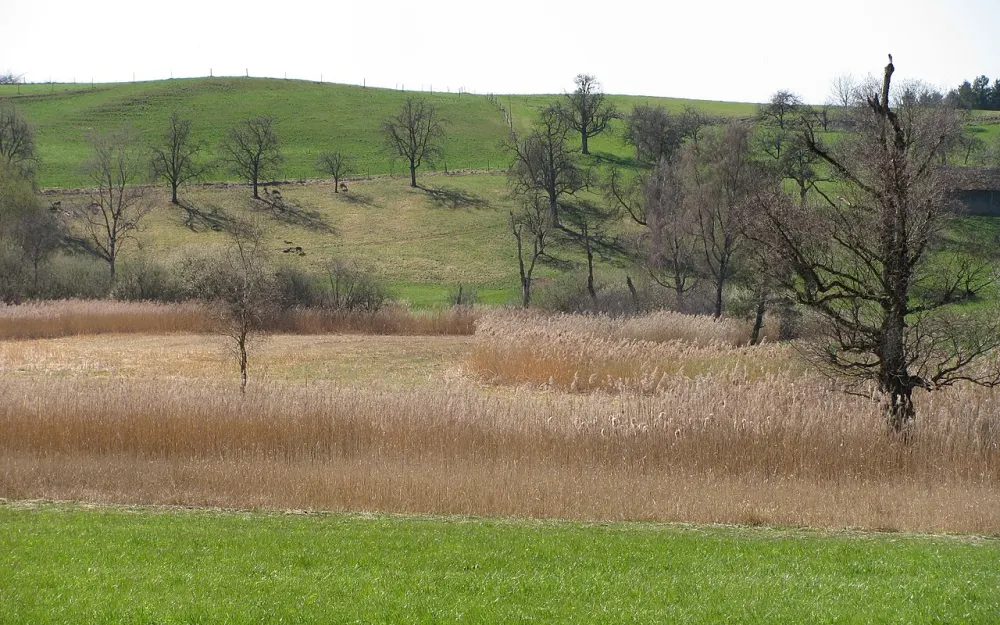 Hirrensee