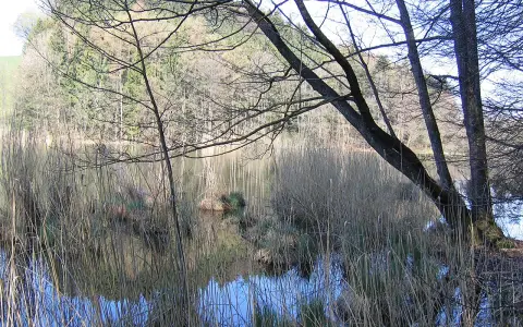 Jägerweiher