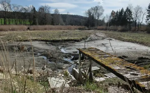Laubbacher Mühleweiher
