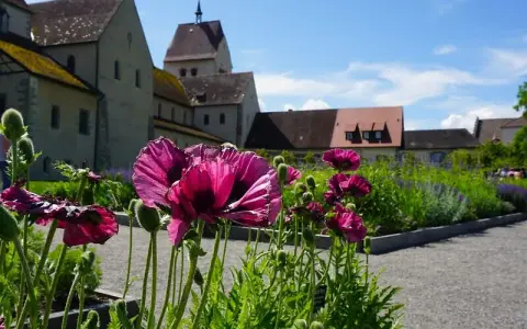 Insel Reichenau_Klostergärten_Münster_Foto Irina Drewniok_ DSC00115