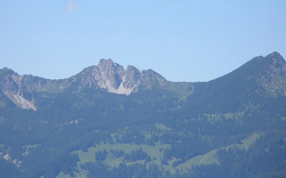 Schillerkopf