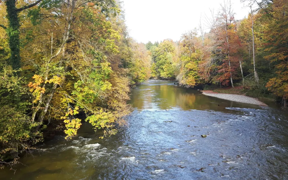 Die Argen im Herbst