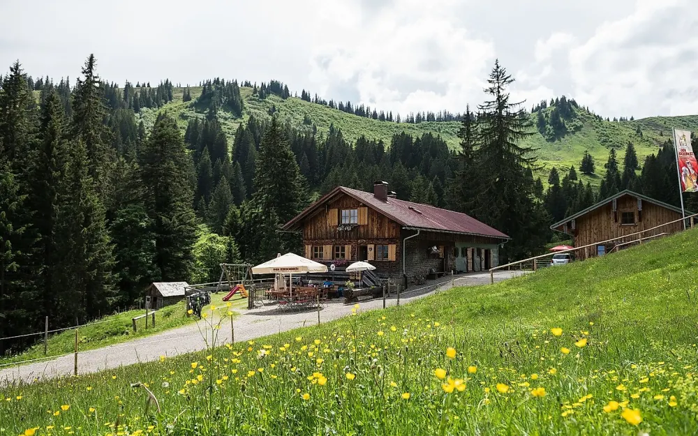 Alpe Bolgen