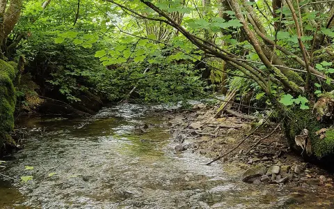 Krebsbachtal
