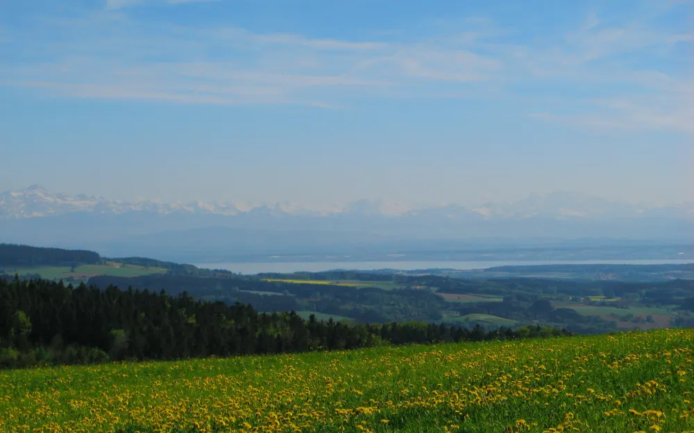 Aussicht vom Höchsten auf den Bodensee und die Alpen
