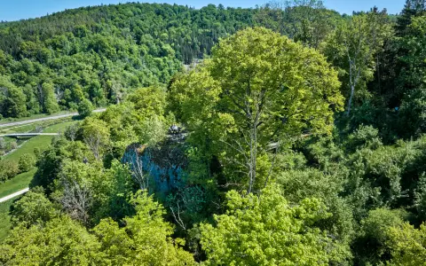 Ruine Hertenstein (Altes Schloss)