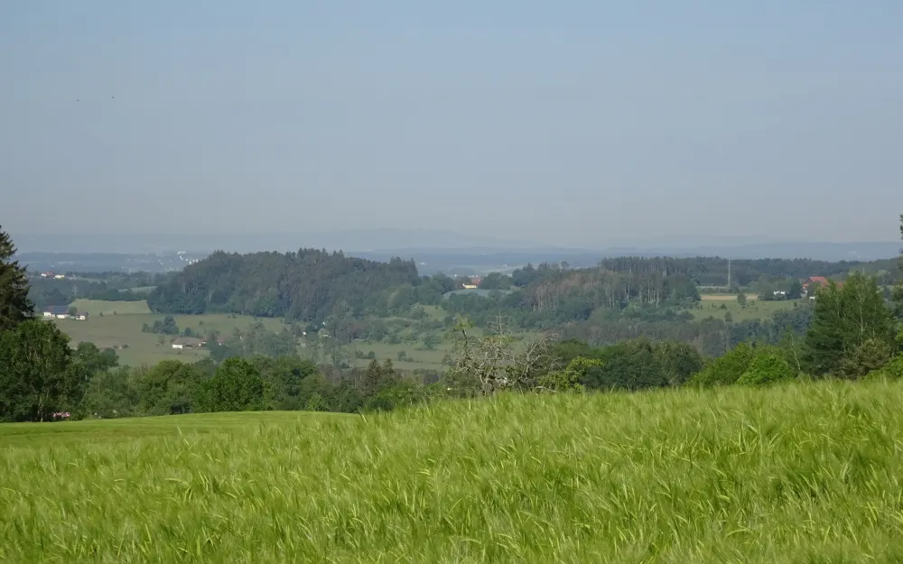 Bodnegg - Aussicht Billen