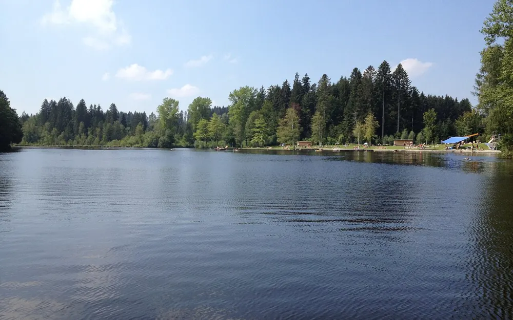 Waldsee