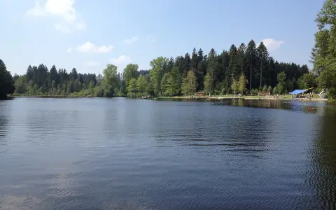 Waldsee