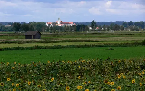 Kanonissenstift Buchau