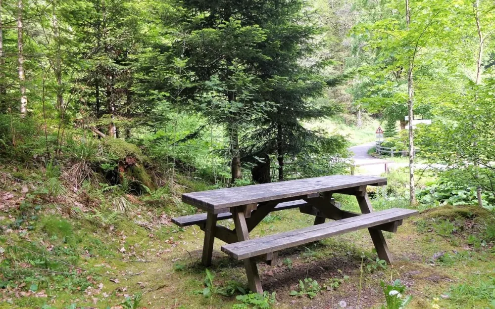 Sitzmöglichkeit für eine Pause gegenüber der Fohrenbachsäge