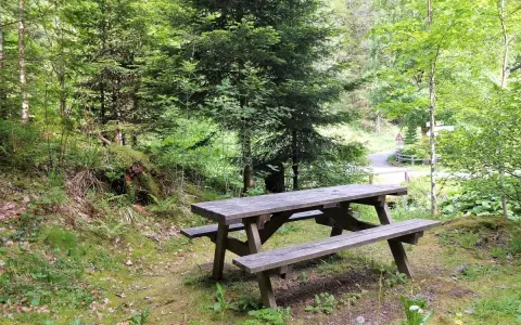 Sitzmöglichkeit für eine Pause gegenüber der Fohrenbachsäge