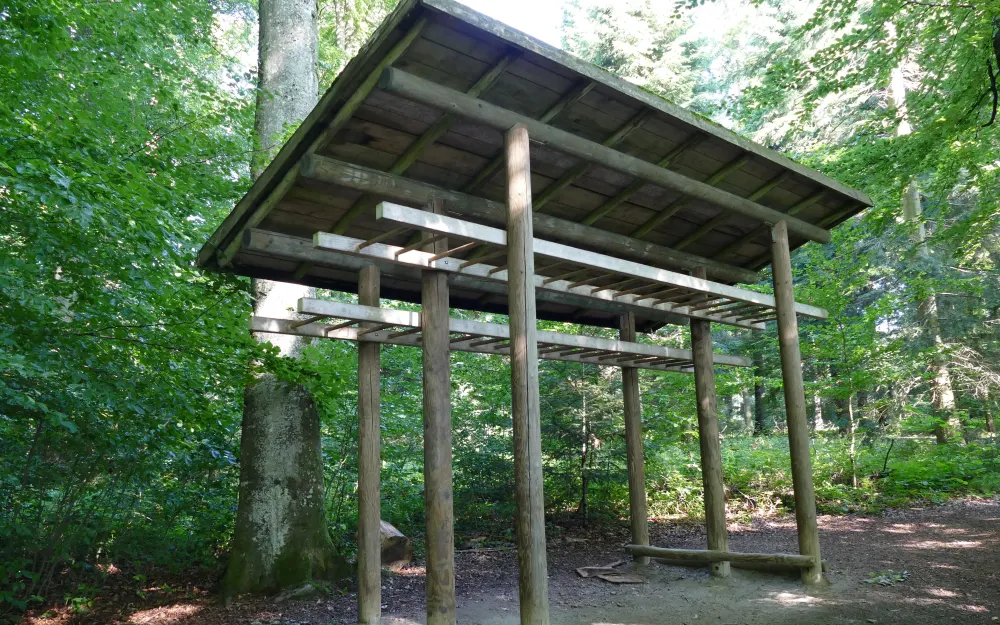Waldsportpfad Hochberg