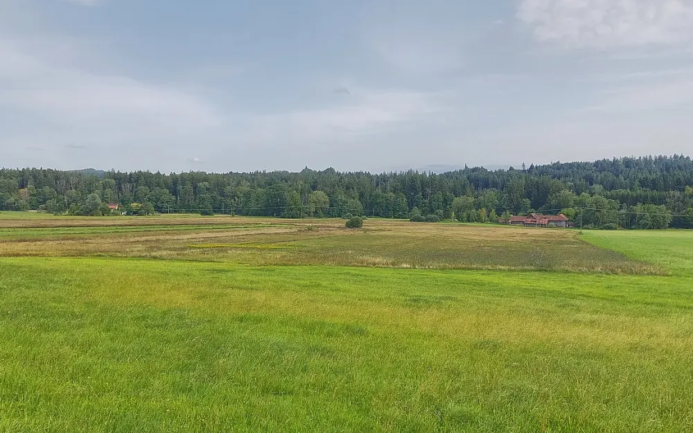 Gießenmoos (2 Teilgebiete)