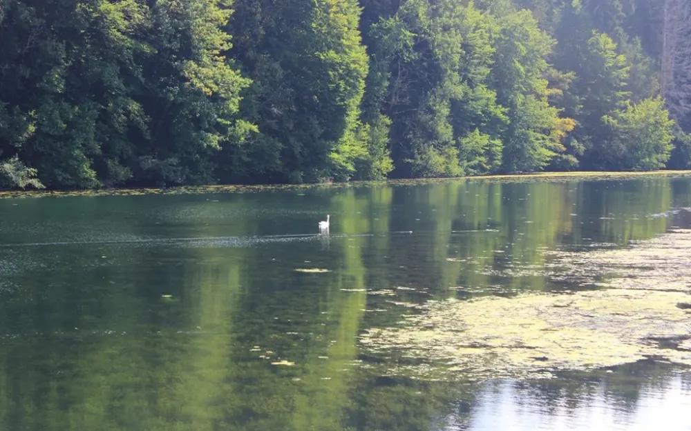 Gottrazhofer Stausee web