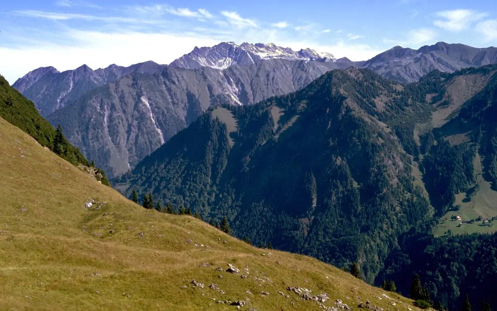 Riefenkopf