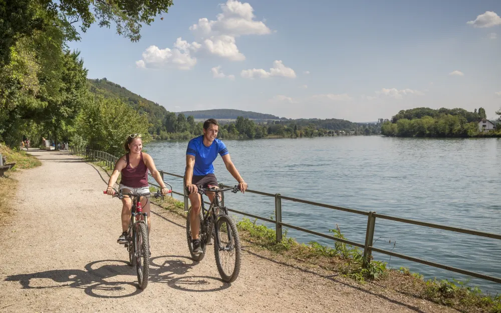 Rheinradweg bei Waldshut