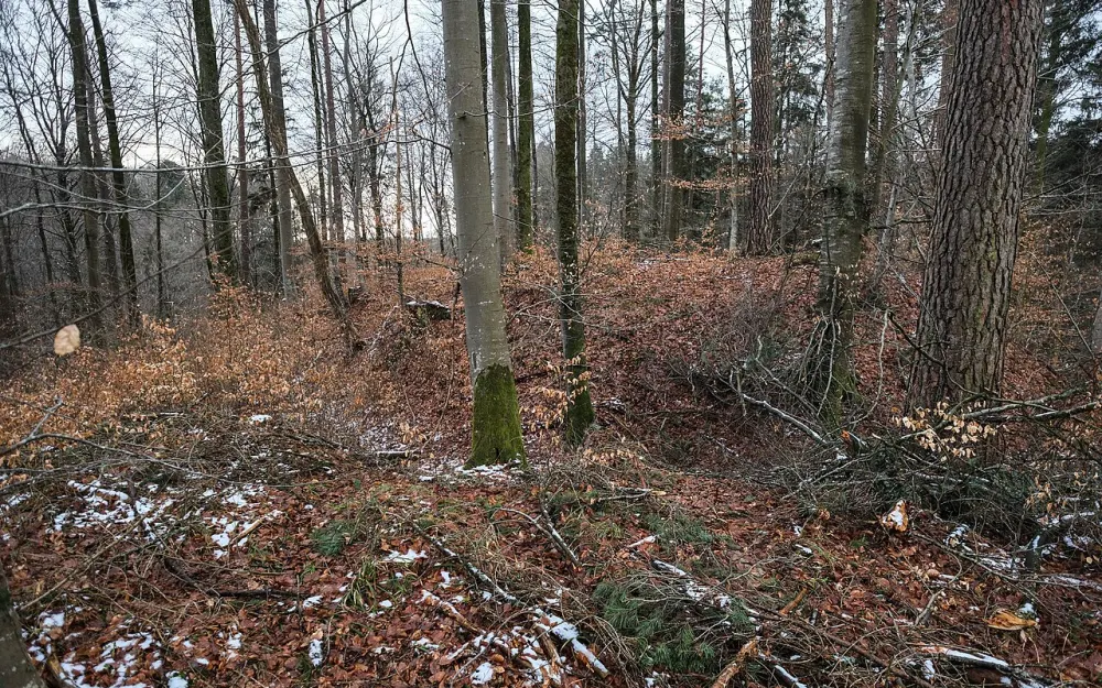 Burg Bermatingen