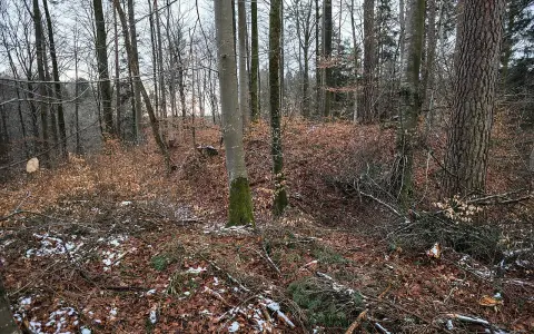 Burg Bermatingen