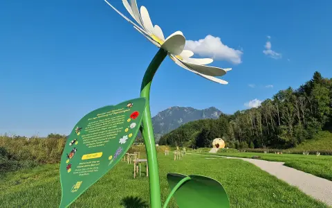 Der Bienenkorb - Bienenlehrpfad