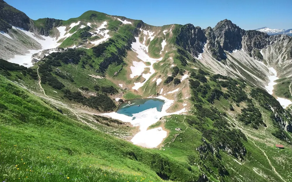 Geißfuß