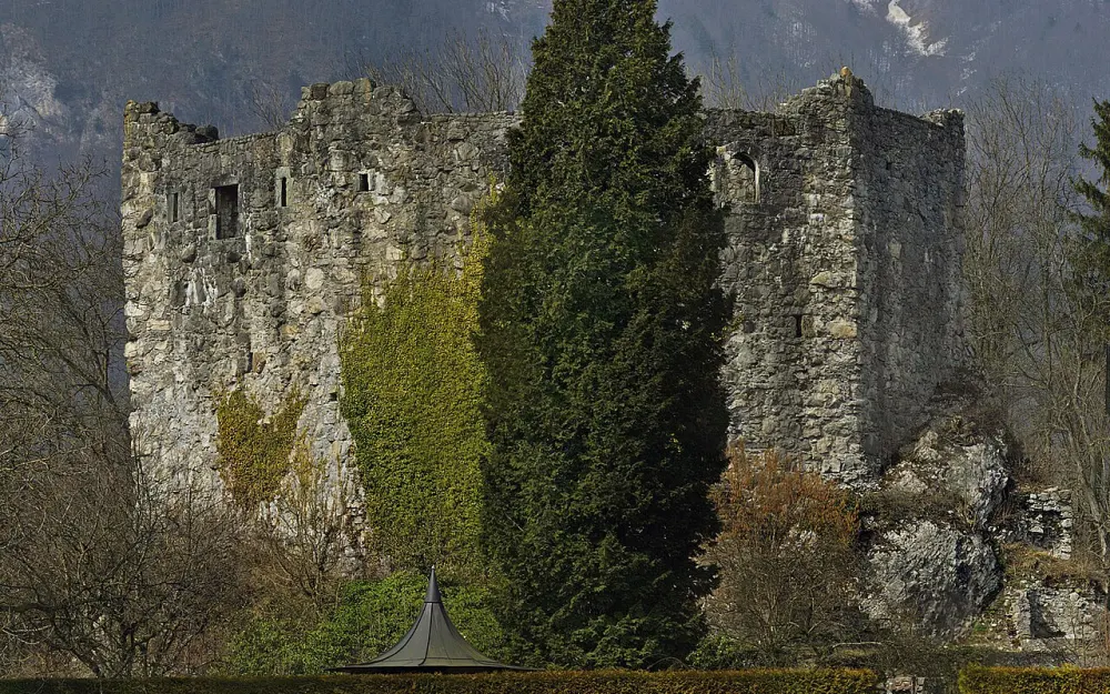 Mittelalterliche Burgruine Forstegg