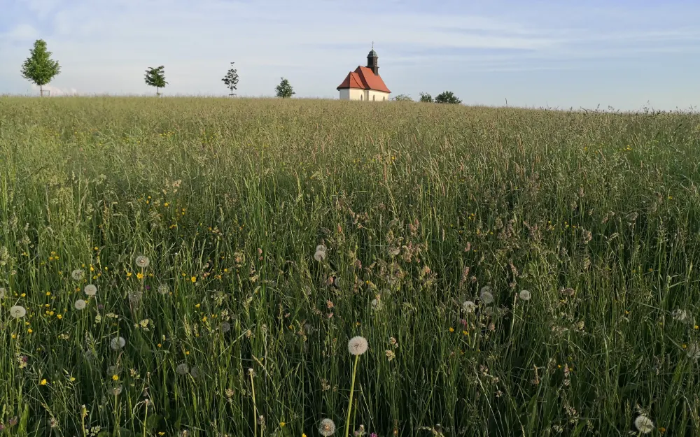 Haldenberg Ailingen Friedrichshafen