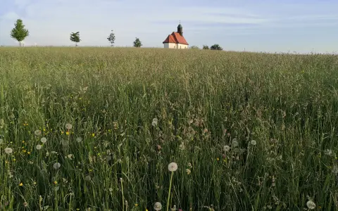 Haldenberg Ailingen Friedrichshafen