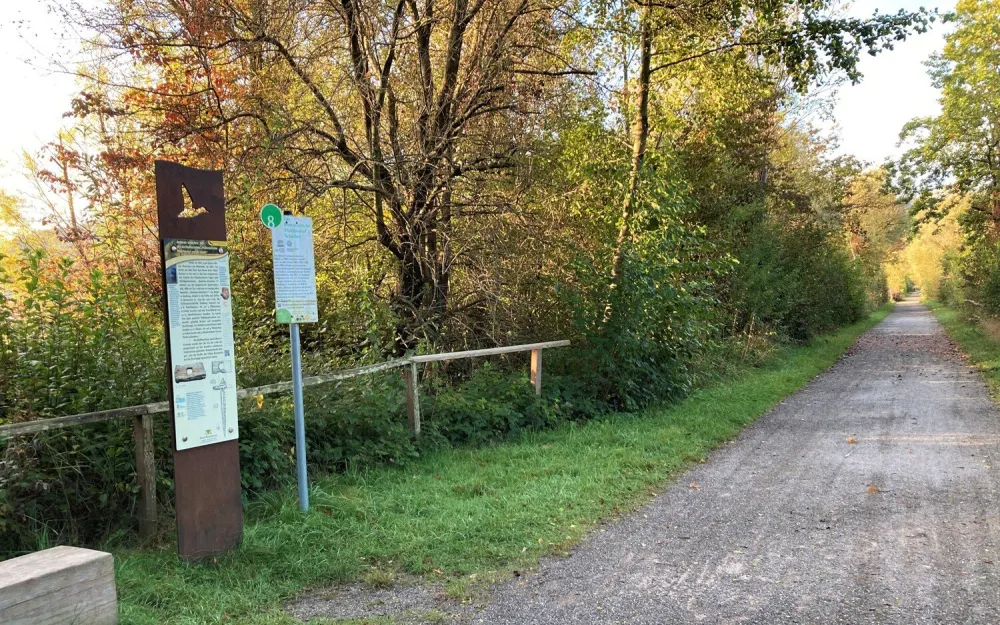 Weg durch das Naturschutzgebiet im Herbst