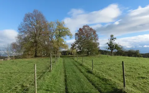 Höhe 493,8 südlich Tettnang bei Schäferhof