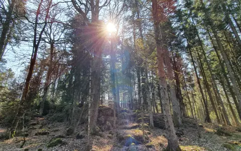 Eindrücke vom Rundweg
