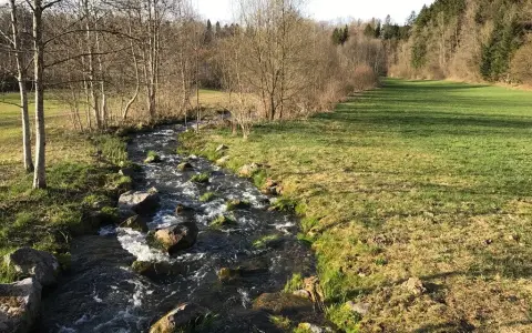 Fischtreppe am Gottratzhofer Stausee
