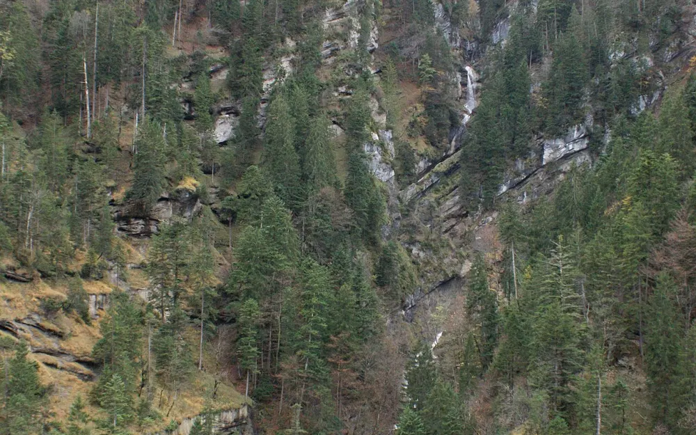 Gampfall