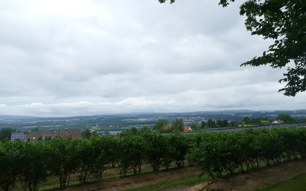 Aussichtspunkt