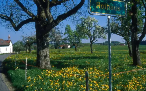 V8 Rothaus Gemeinde Vogt