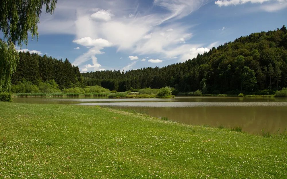 Linsenbergweiher