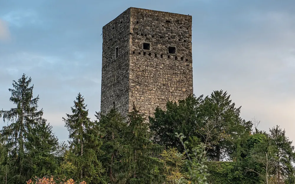 Ruine Tosters