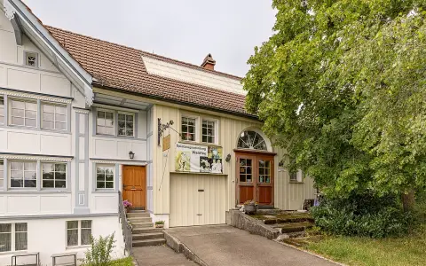 Spielzeugsammlung Waldfee