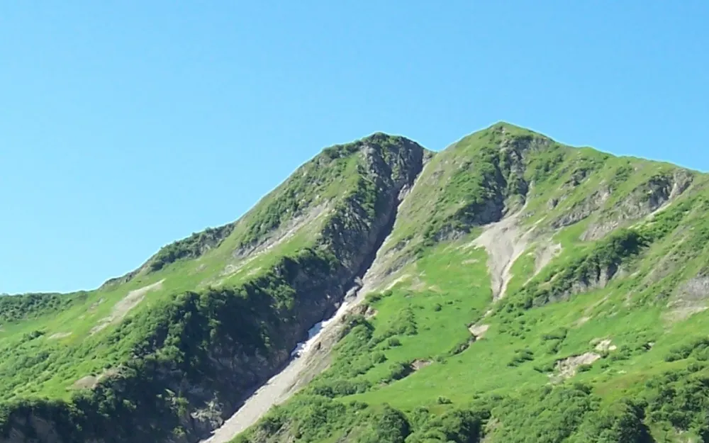 Hochstarzel